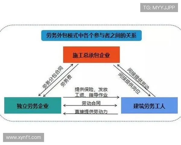 杭州排球队的耐力训练与比赛表现的深度探讨与分析
