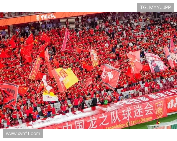 杭州绿城主场迎战江西队期待精彩对决与球迷热情支持