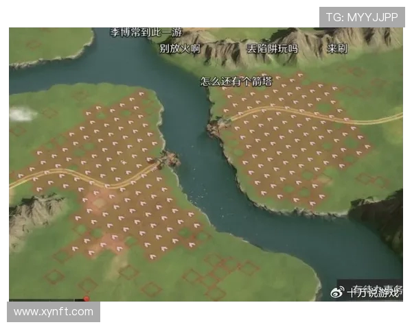 赛后分析：JDG与TES对决中的战术布局与执行细节探讨