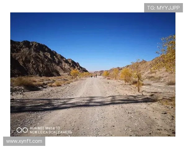 与杨芳畅谈滑板生涯的点滴与挑战探索她的梦想与坚持之路