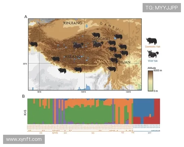 成都乒乓球队速度分析与提升策略的深度探讨与研究