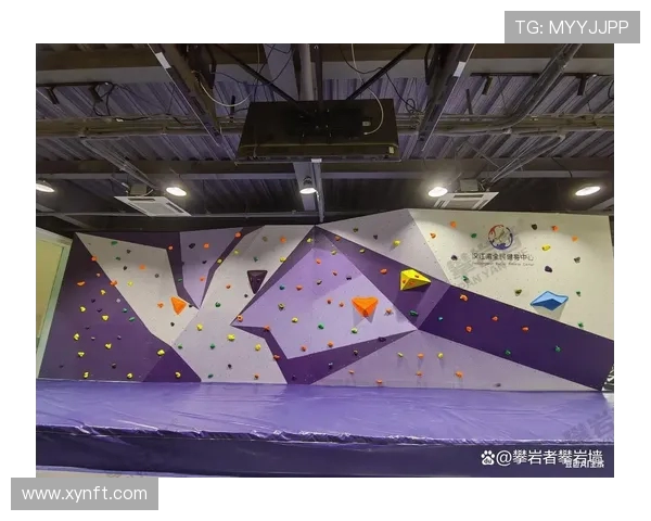 攀岩深度分析：揭秘北京攀岩队的区域防守策略与战术应用